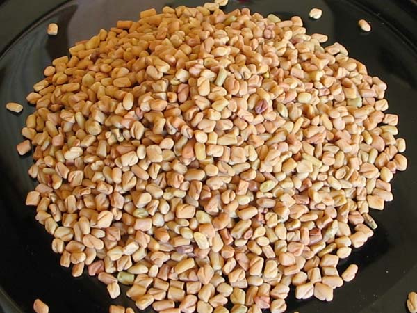 મેથી દાણા