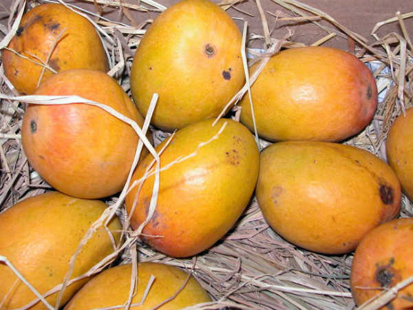 મહારાષ્ટ્ર