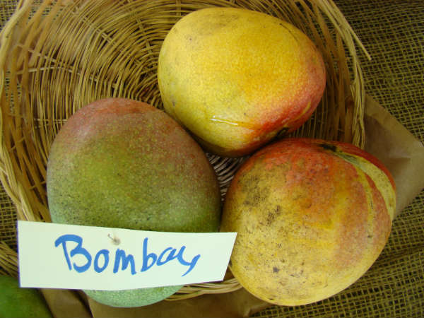 પશ્ચિમ બંગાળ