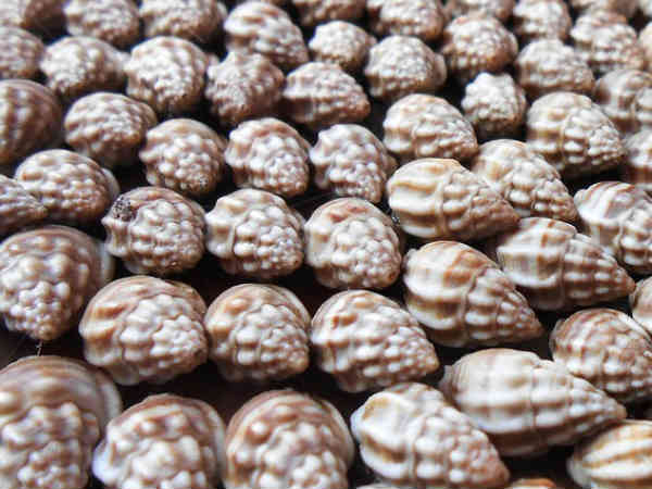 ગર્ભવતી મહિલાને મળે છે લાભ
