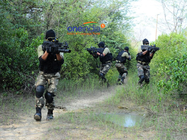 પેરા કમાંડો