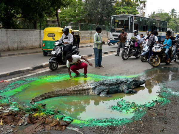 રસ્તાની વચ્ચે ખાબોચિડામાં મગર