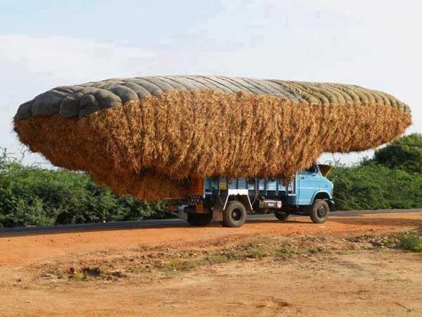 ઓવર લોડિંગ