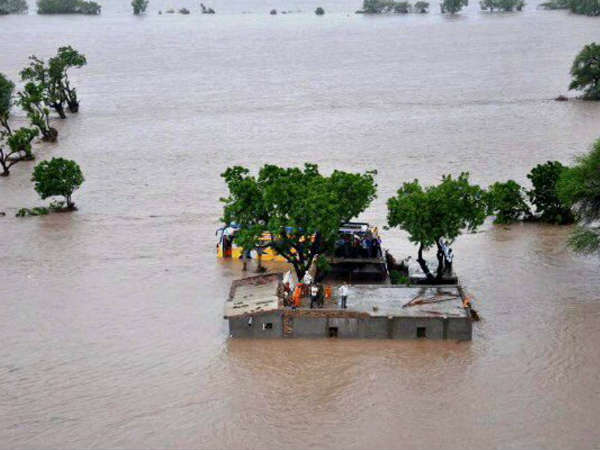 અમરેલીમાં 36 લોકોના મોત