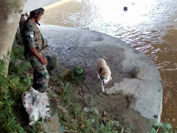આસામના પુલ નીચેથી મળ્યો વિસ્ફોટક બોમ્બ