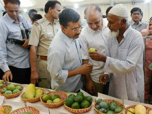 કેજરીવાલે માણી કેરીની જાયફત