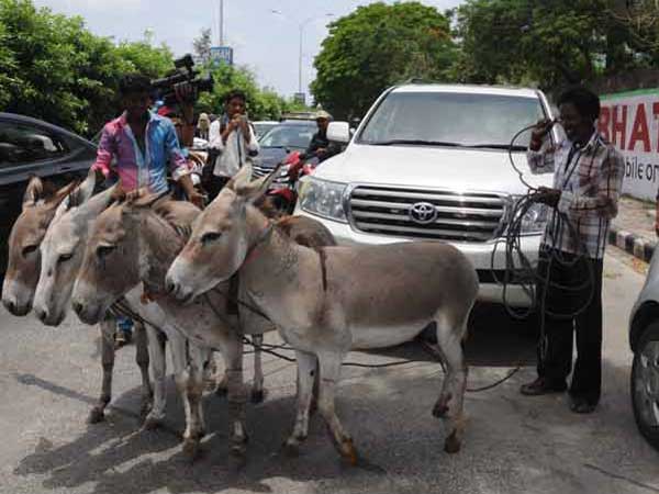 ડિલર