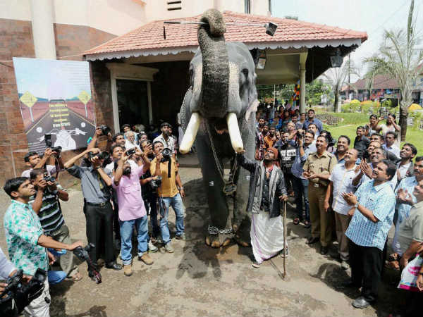 કેરળનો હાથી બન્યો નવો સેલ્ફી સ્ટાર