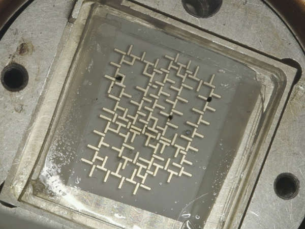 જળના ટિંપા ફરવા લાગ્યા