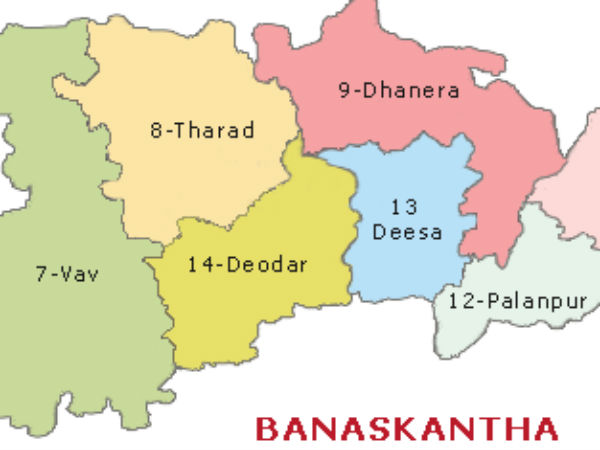 21 વર્ષીય યુવક બન્યો સરપંચ