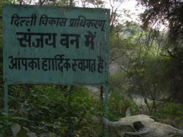 સંજય વન