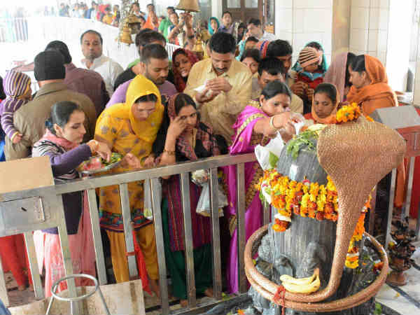 પીપળાના લાકડાથી બનેલા શિવલિંગ