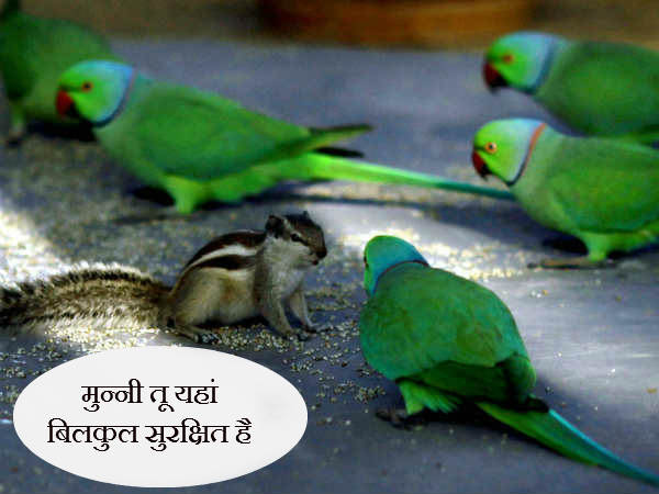 મુન્ની ચિંતા ના કર અહીં સુરક્ષિત છે