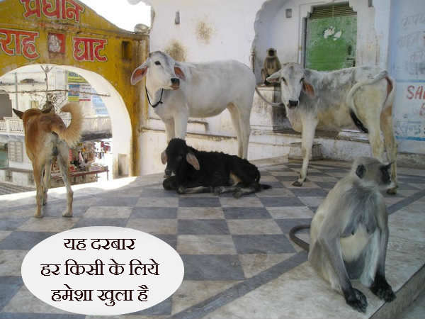 આ દરબાર સૌના માટ છે