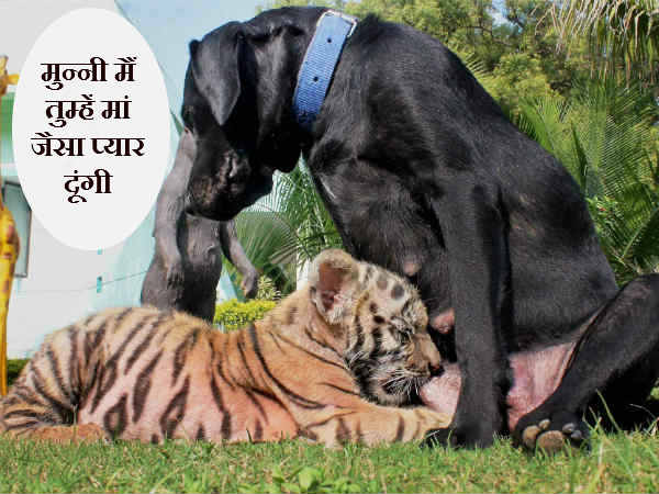તને માતા જેવો પ્રેમ આપીશ