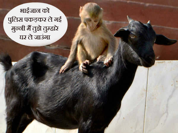 અહીં ભાઇજાન નથી તો શું થયું