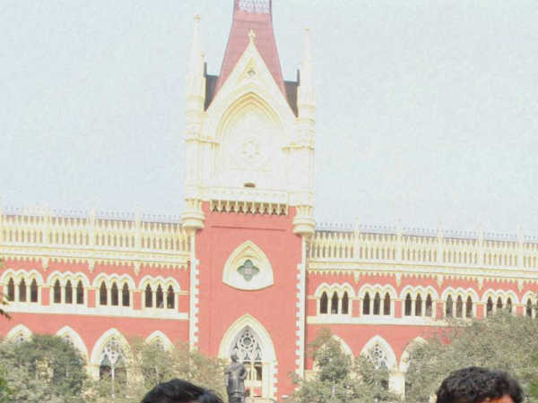 ફરજિયાત મતદાન પર HCનો સ્ટે