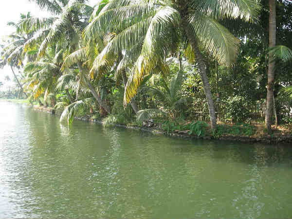 અદભૂત ઈકોસીસ્ટમ