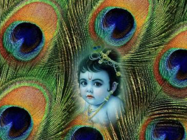 દહીં અને માખણ