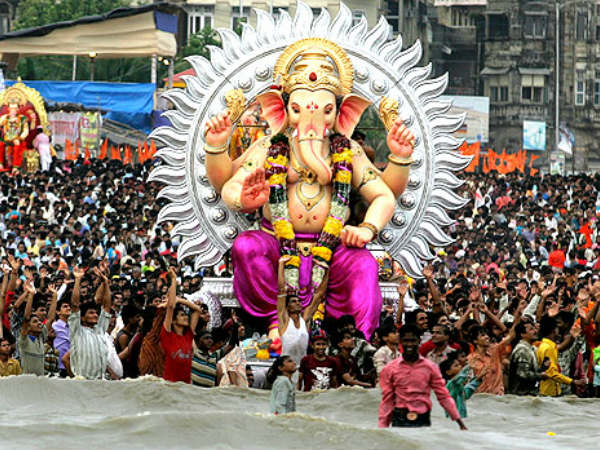 હાથણના બચ્ચાંનું માથું