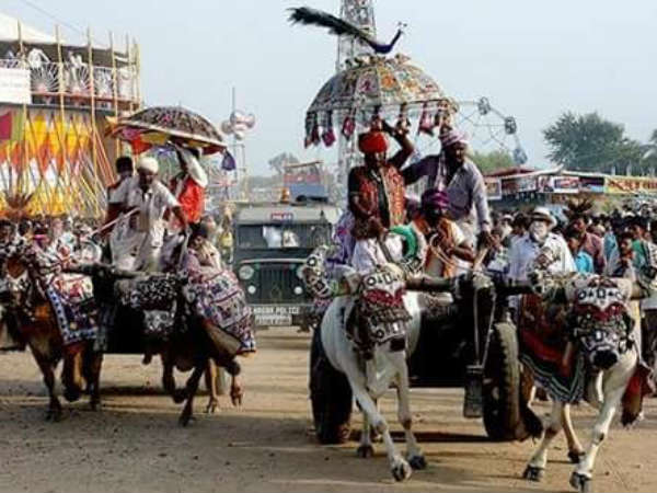 બળદગાડાની દોડ