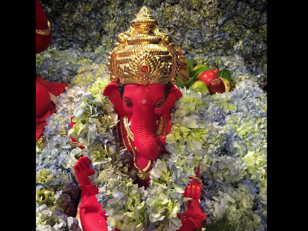 ઇકો-ફ્રેન્ડલી