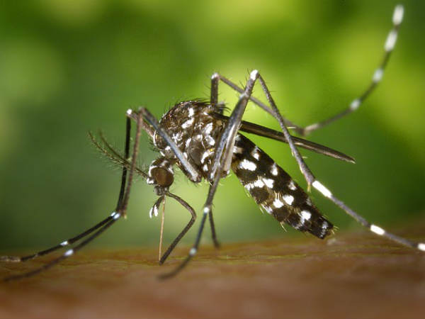 ક્યારે ફેલાય છે