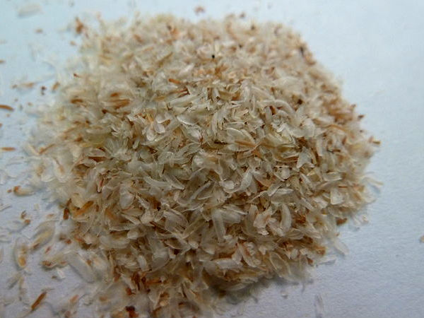 માત્રા