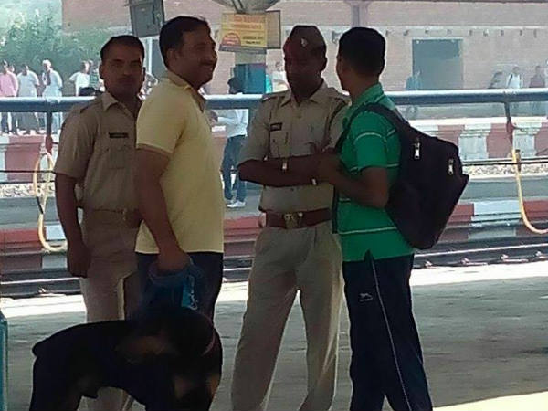 ડોગ સ્કોર્ડ અને તપાસ