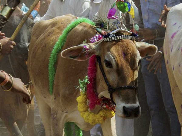 મેધાલય