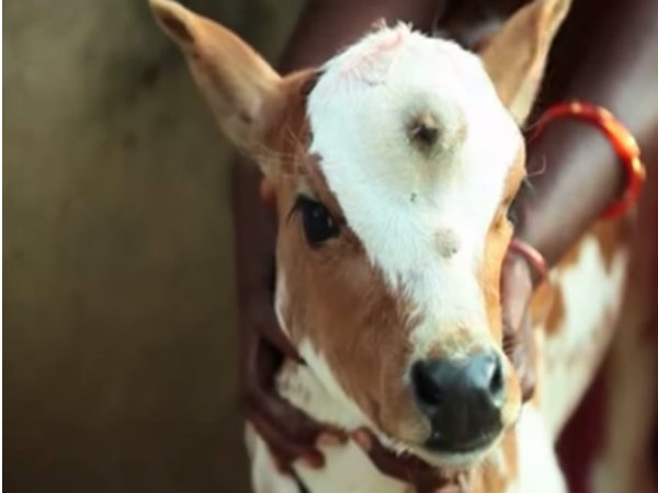 કેવી રીતે શોધશે કોણ હિંદુ છે?