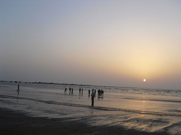 બોરડી