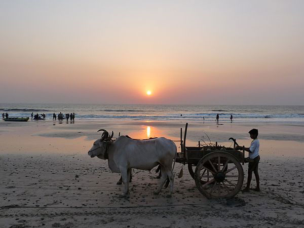 કાસીદ