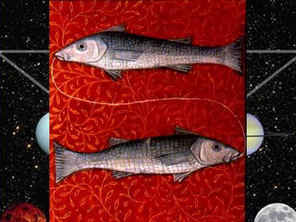મીન (દ,ઝ,ચ,થ)