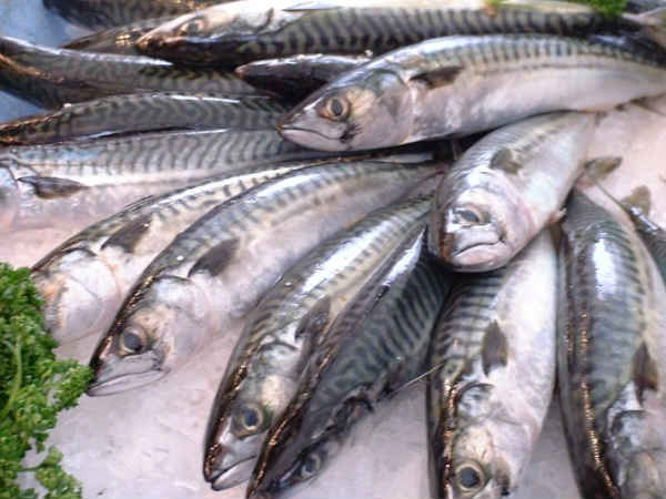ઓમેગા 3 ફેટી એસિડ