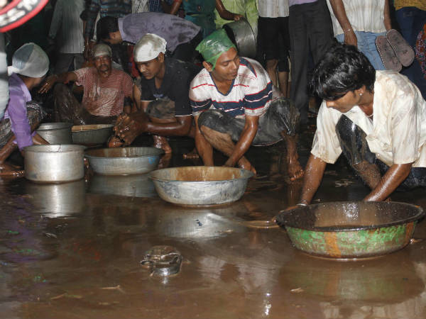 ધીના રેલા