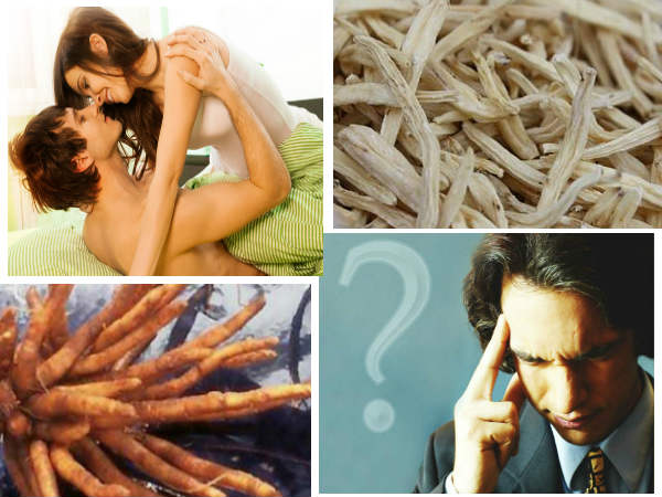 કેવી રીતે કરે છે કામ?