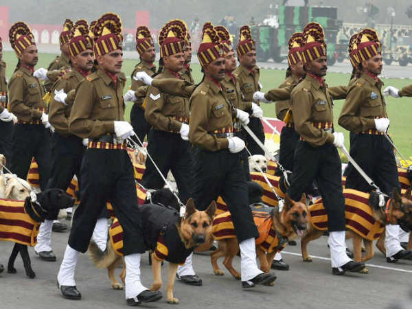 લેબ્રાડોર થી લઇને જર્મન સેફ્ડ
