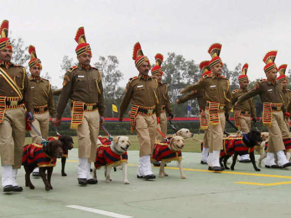 આપે છે પોતાની સેવા