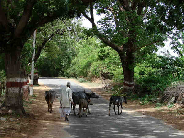 ગામડામાં વિજળી માટે