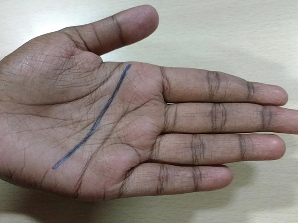 મુખ્ય રેખા