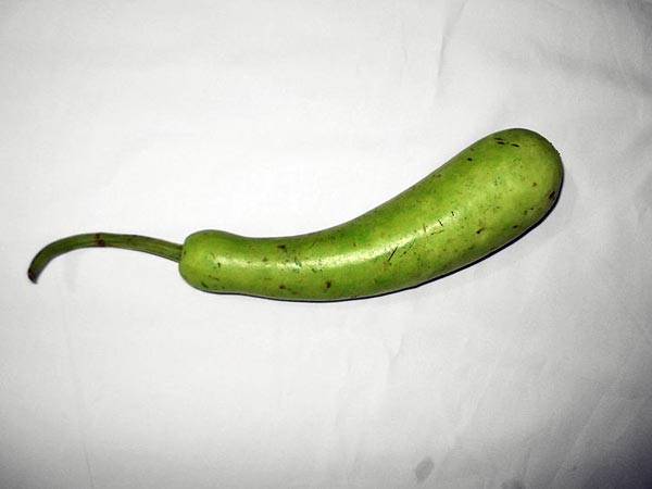 દૂધીનો રસ