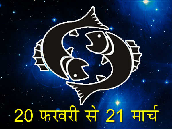 મીન
