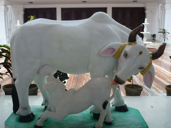 ગૌરક્ષકોએ વલસાડ બંધનું એલાન કર્યું