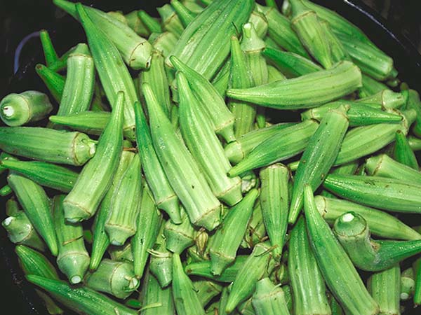 ફાયદા