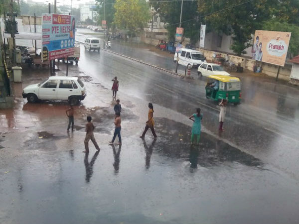 ગુજરાતમાં કમોસમી વરસાદથી એક વ્યક્તિ સહિત 6 પશુઓના મોત