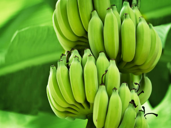 4. કાચા કેળાની પેસ્ટ લગાવો
