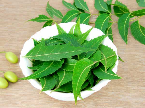 લીંબડાના પાંદડા