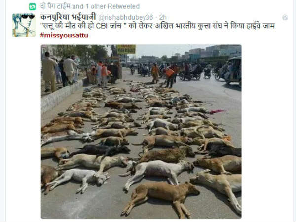 પ્રદર્શન