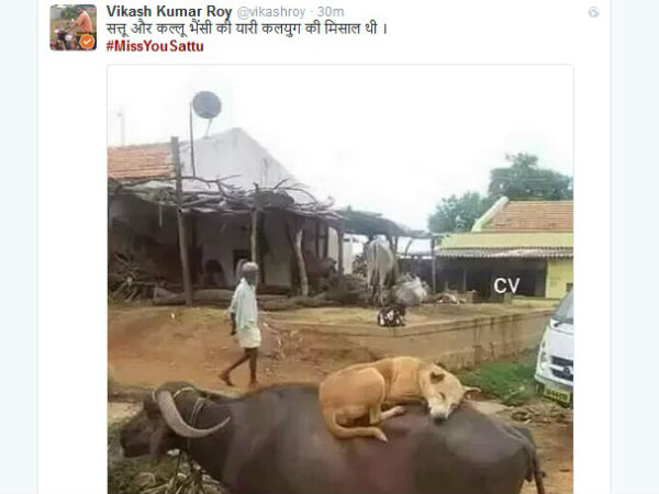 સત્તુની મિત્રતા